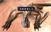 ティガレックス・力尽きました